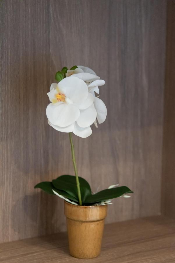 Medluxe Comfort Apartment เอเธนส์ ภายนอก รูปภาพ