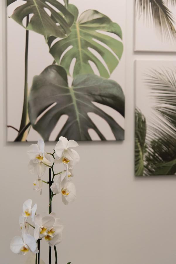 Medluxe Comfort Apartment เอเธนส์ ภายนอก รูปภาพ